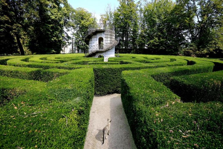 Villa Pisani_labirinto parco