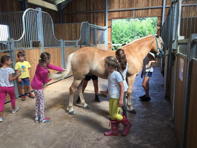 Lavoretti_in_scuderia