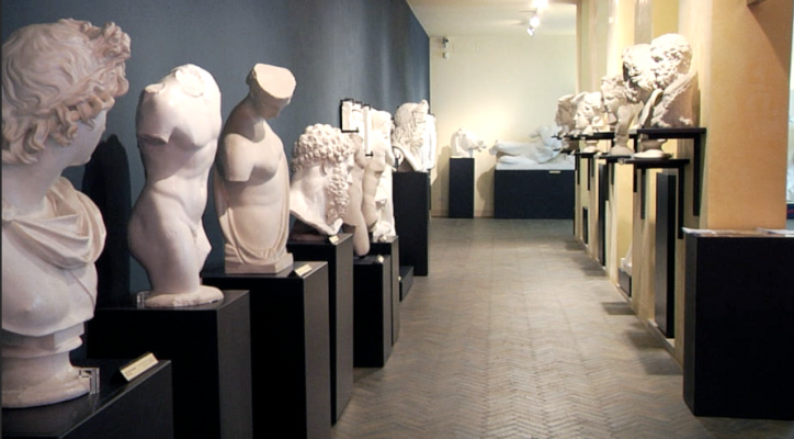 Museo scienze archeologiche3