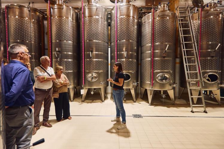 Visita e degustazione - La Tordera