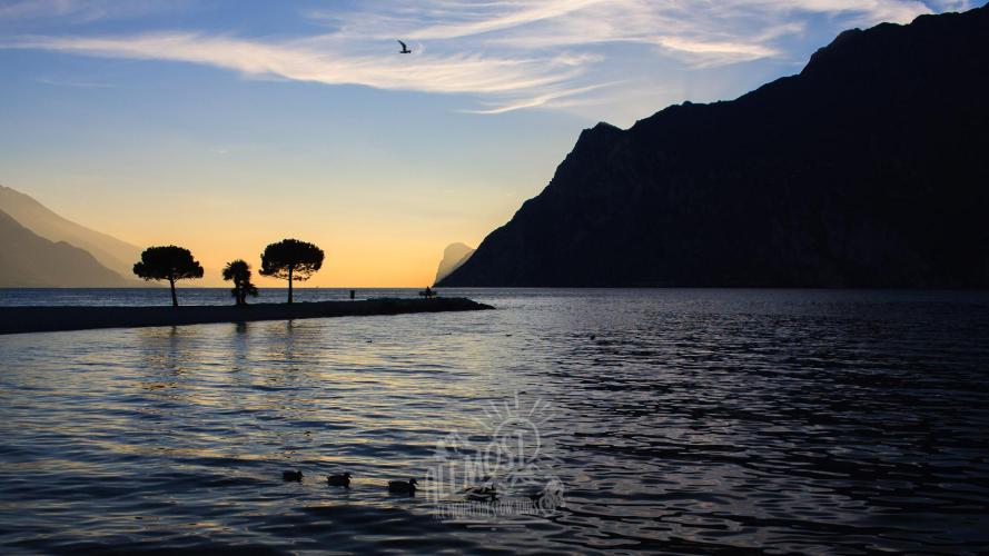 Allmost - ebike MTB guided tours - PUNTA LARICI LE