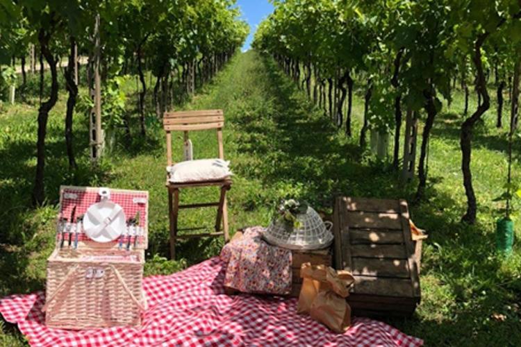 trekking-cammina-custoza-4