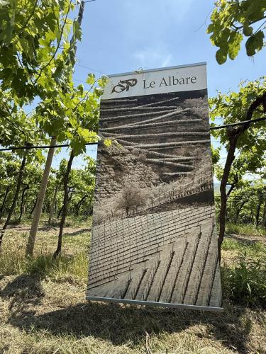 CIN CIN in Cinquecento