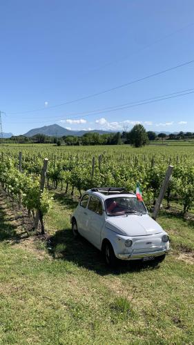 CIN CIN in Cinquecento