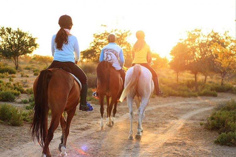 horseback-riding-custoza-3