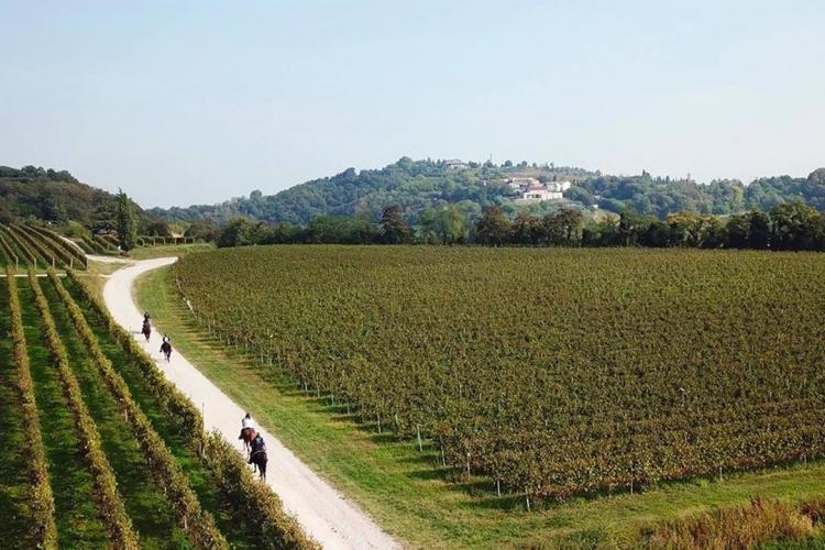 horseback-riding-custoza-5