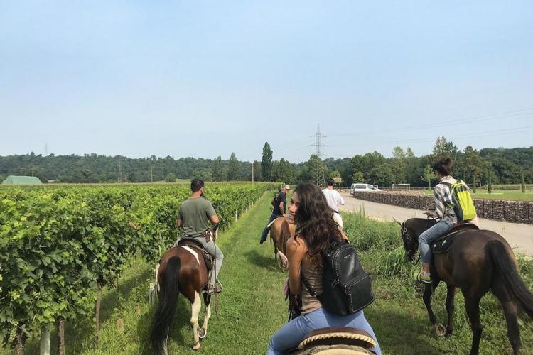 horseback-riding-custoza-4