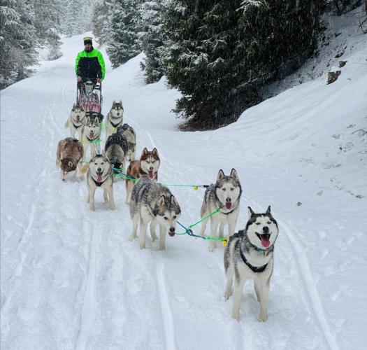 WhatsApp Image 2025-10-06 at 19.14.09