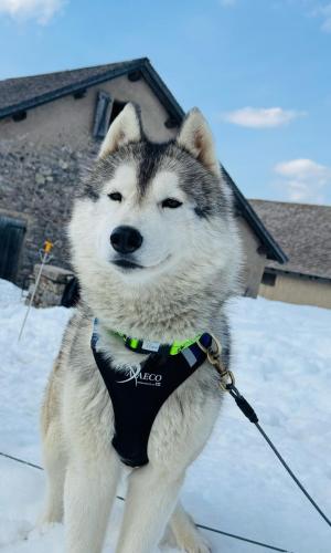 WhatsApp Image 2025-10-06 at 19.11.44 (2)