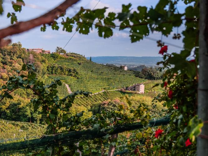 Degustazione Premium - Varaschin - San Pietro