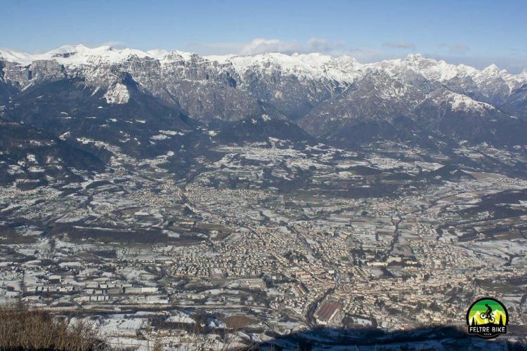 Vista da cima Tomatico