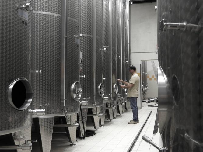 Silver Experience - Scopri come nascono cuveè di S