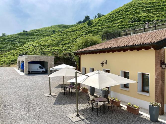 Un viaggio completo dalla vigna al calice