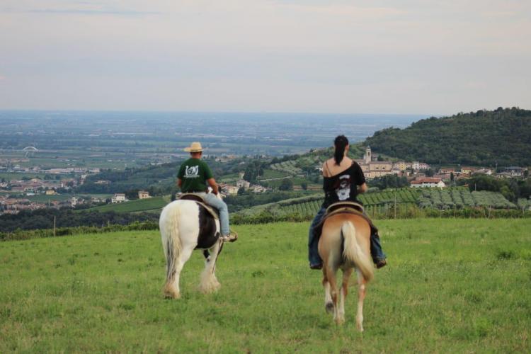 Passeggiata a cavallo