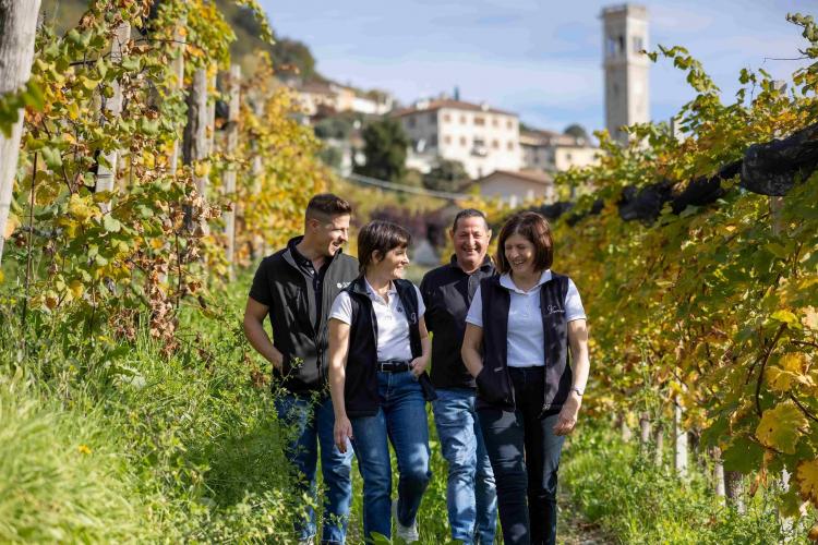 Picnic in vigna - Vigneto Vecio