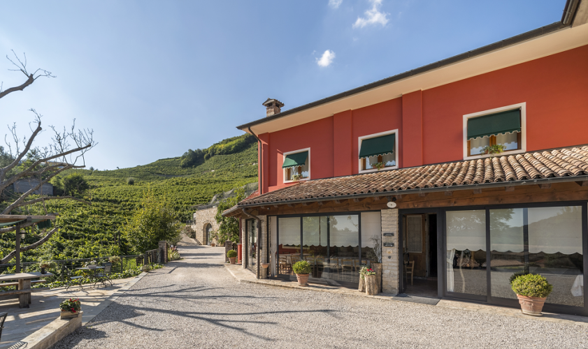 Pic-nic in vigna - Vigneto Vecio -