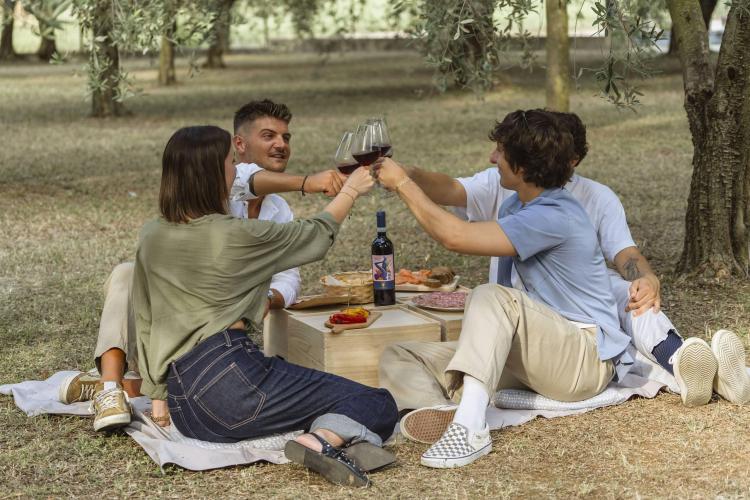 picnic