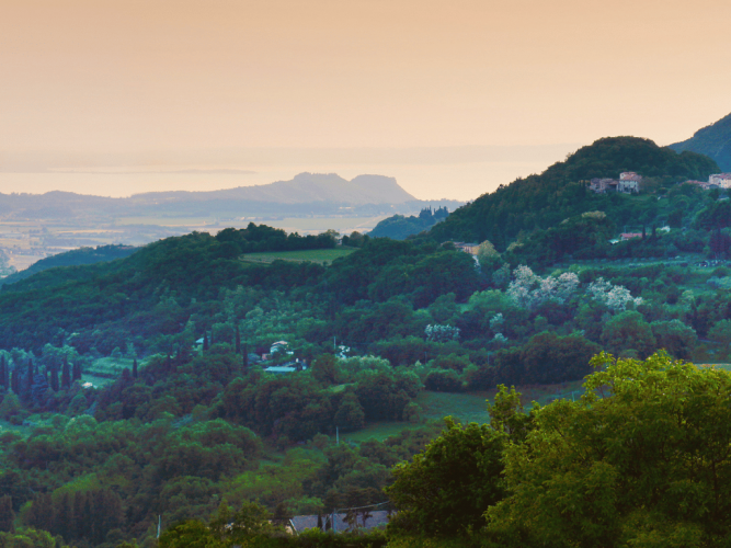 Panorama from the Sanctuary