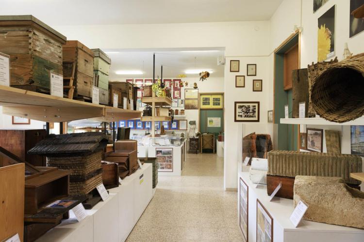 Museo "Guido Fregonese"