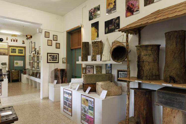 Museo "Guido Fregonese" 2