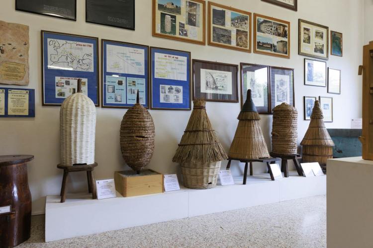 useo di Apicoltura "Guido Fregonese" 2