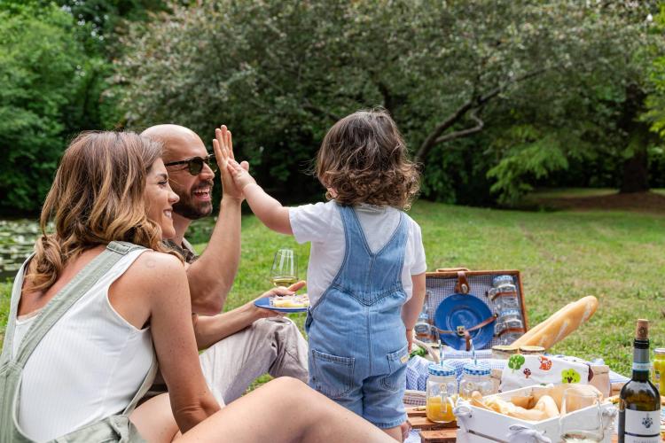 Picnic 3