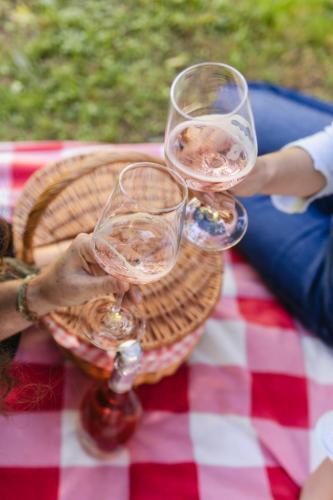 Picnic 1