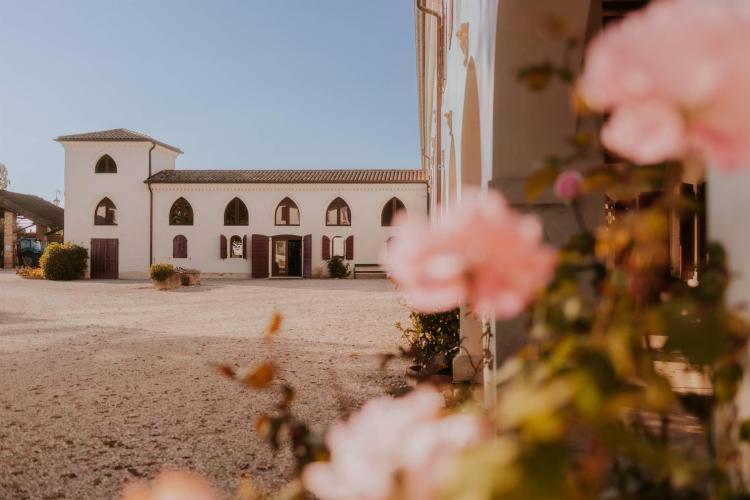 Cantina Rechsteiner