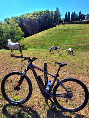 Bike&Grill 1