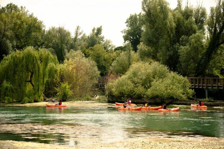 Kayak 2