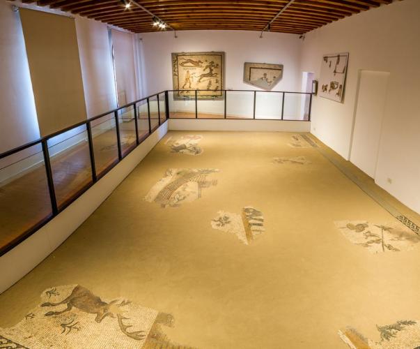 Museo Archeologico "Eno Bellis" 1
