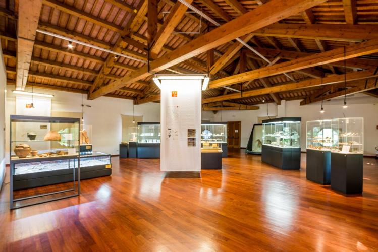 Museo Archeologico "Eno Bellis" 4