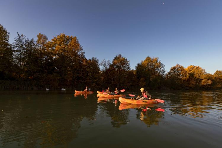 Kayak 4
