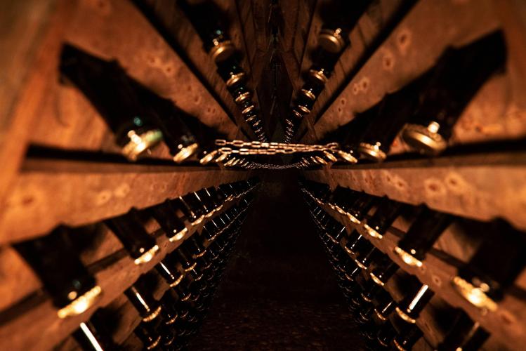 Trio Wine Experience