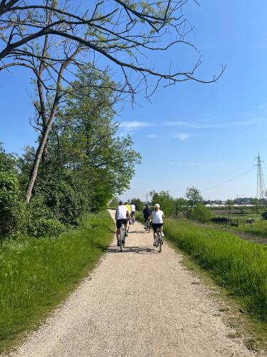 Foto 1 - biciclette_San Giovanni 