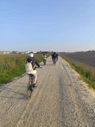 Biciclettata - Bovolone