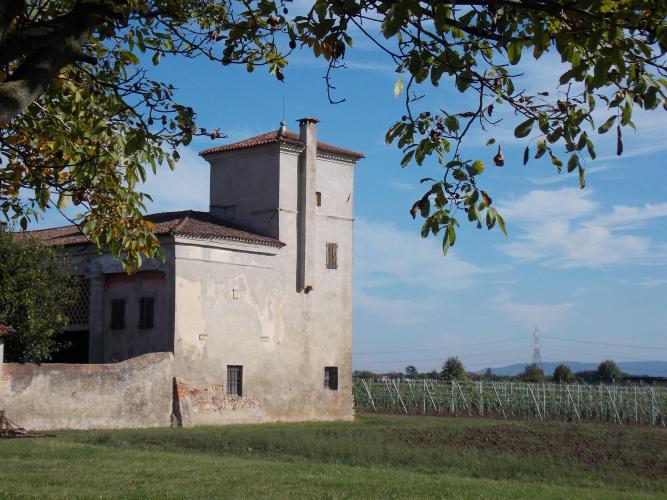 Campi