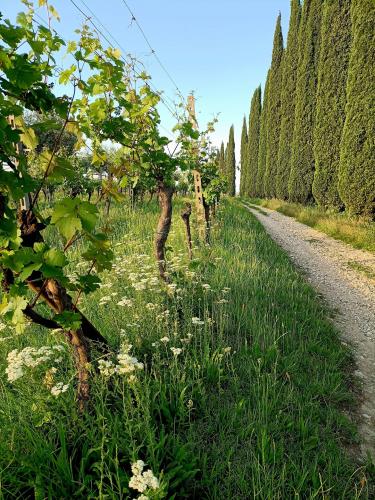 Lands of Custoza