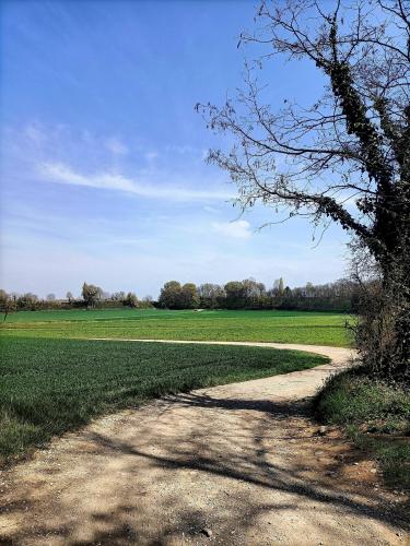 Path
