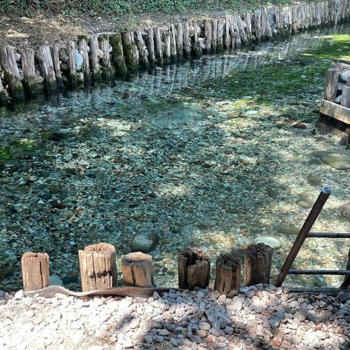 l'acqua limpida delle risorgive