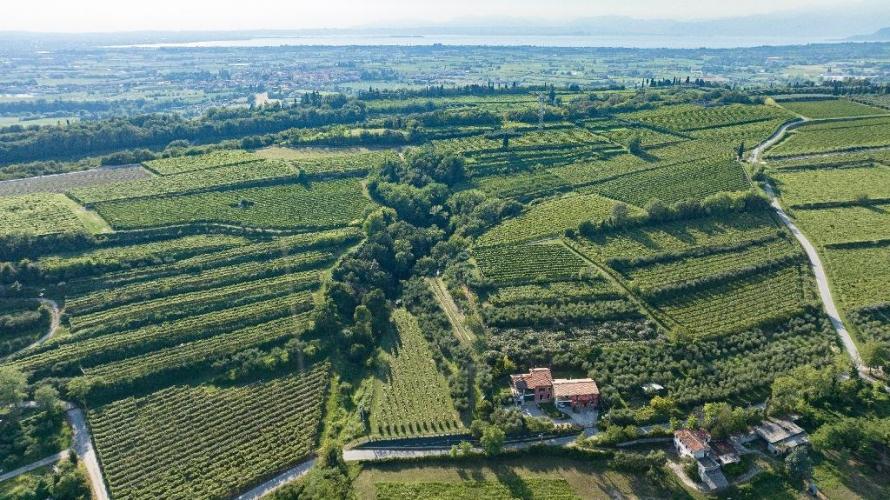 Farm Colle d'Oro on the Lake