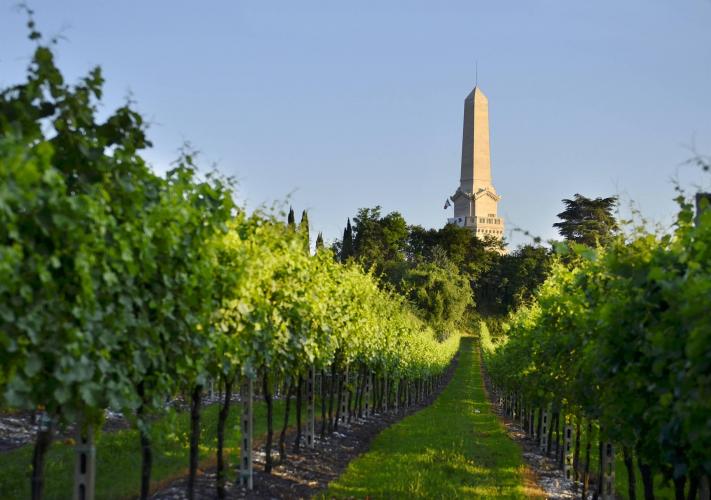 Filari - Custoza