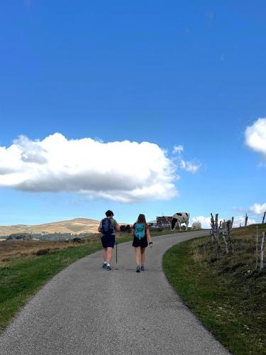Vero Conca dei Parpari da Rifugio Dosso Alto