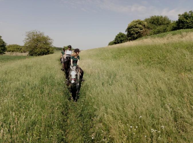 Passeggiata a cavallo