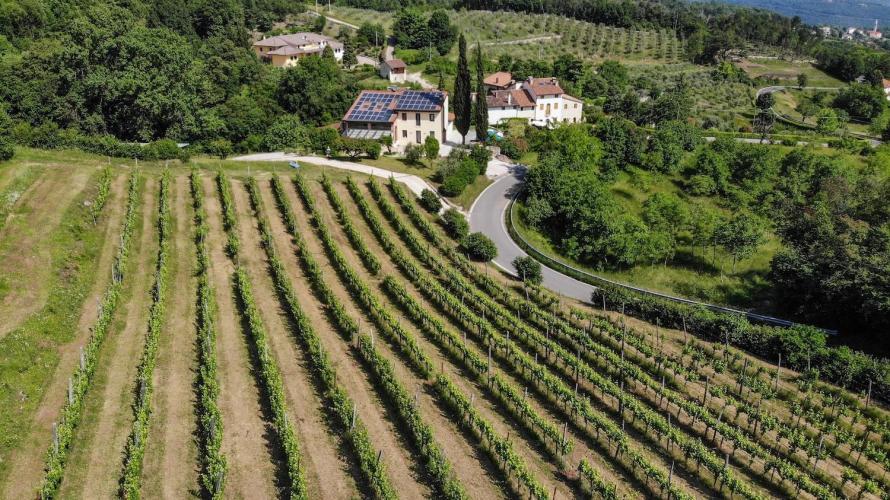 Degustazione olio e vino con passeggiata 1