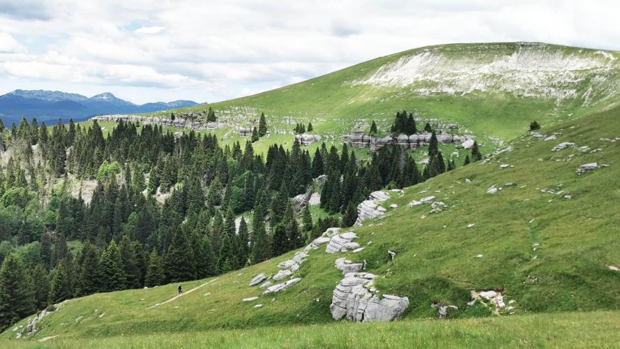 Altopiano di Asiago: trekking tra i boschi e la No