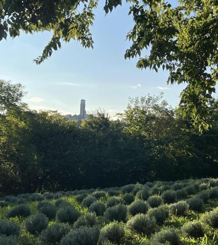 Visita guidata a Villa Valmarana ai Nani 2