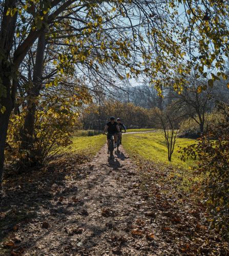 Il 'Safari dei Berici': Tour in E-Bike 2