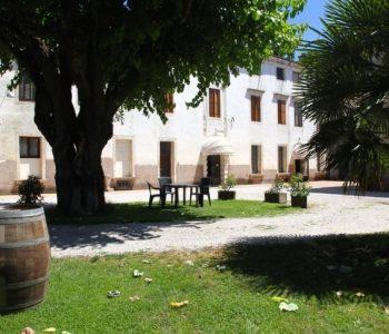 Gin Experience: alchimista per un giorno 4