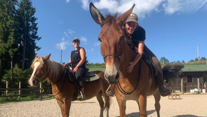 Avvicinamento al Horsemanship (attività di avvicin